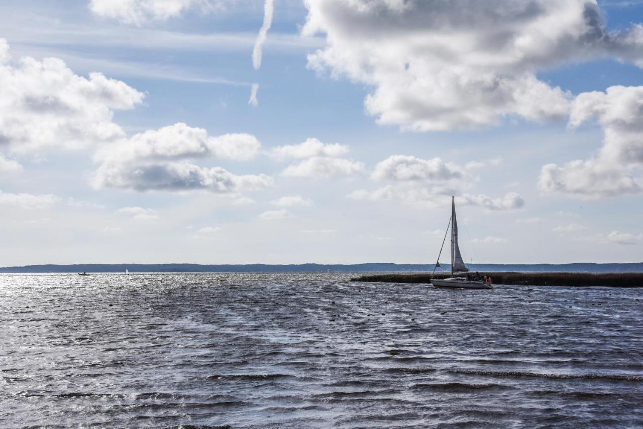 Drevernos Avilys Dreverna Exteriör bild